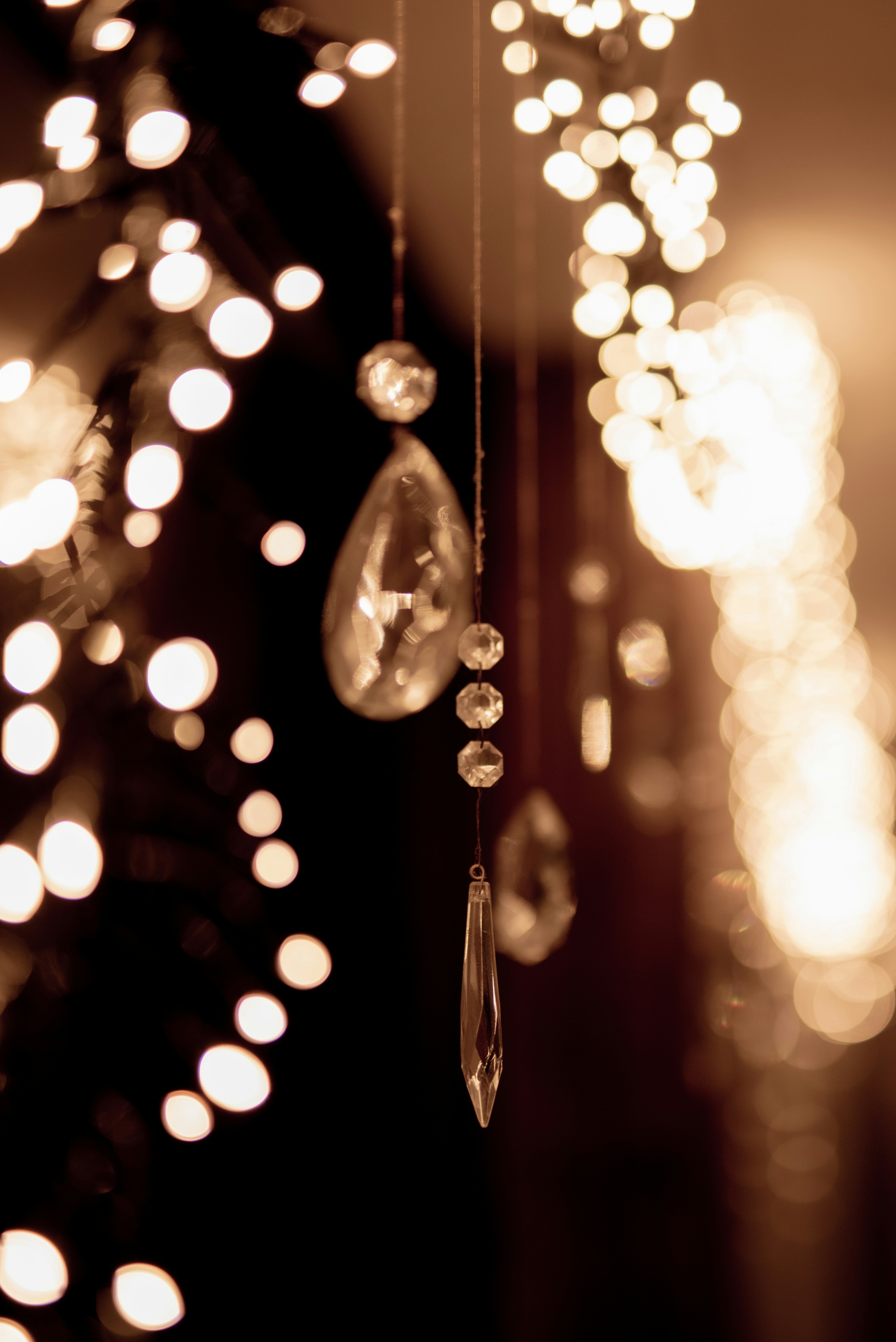 Photo by lauraadaiphoto