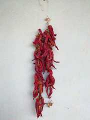 Bundles of long pepper (cabe jawa) drying under the warm Indonesian sun.
