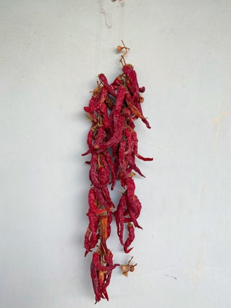 Bright red dried chili peppers arranged in a neat bundle.