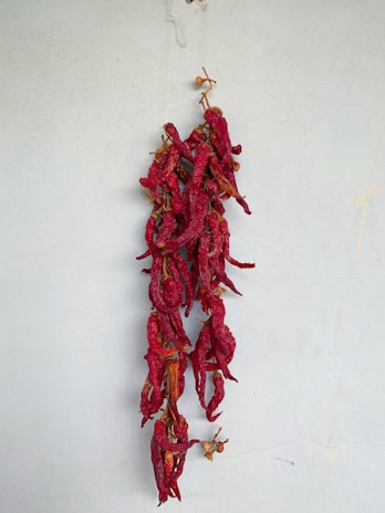 Bundles of dried red chili peppers hanging against a warm background.