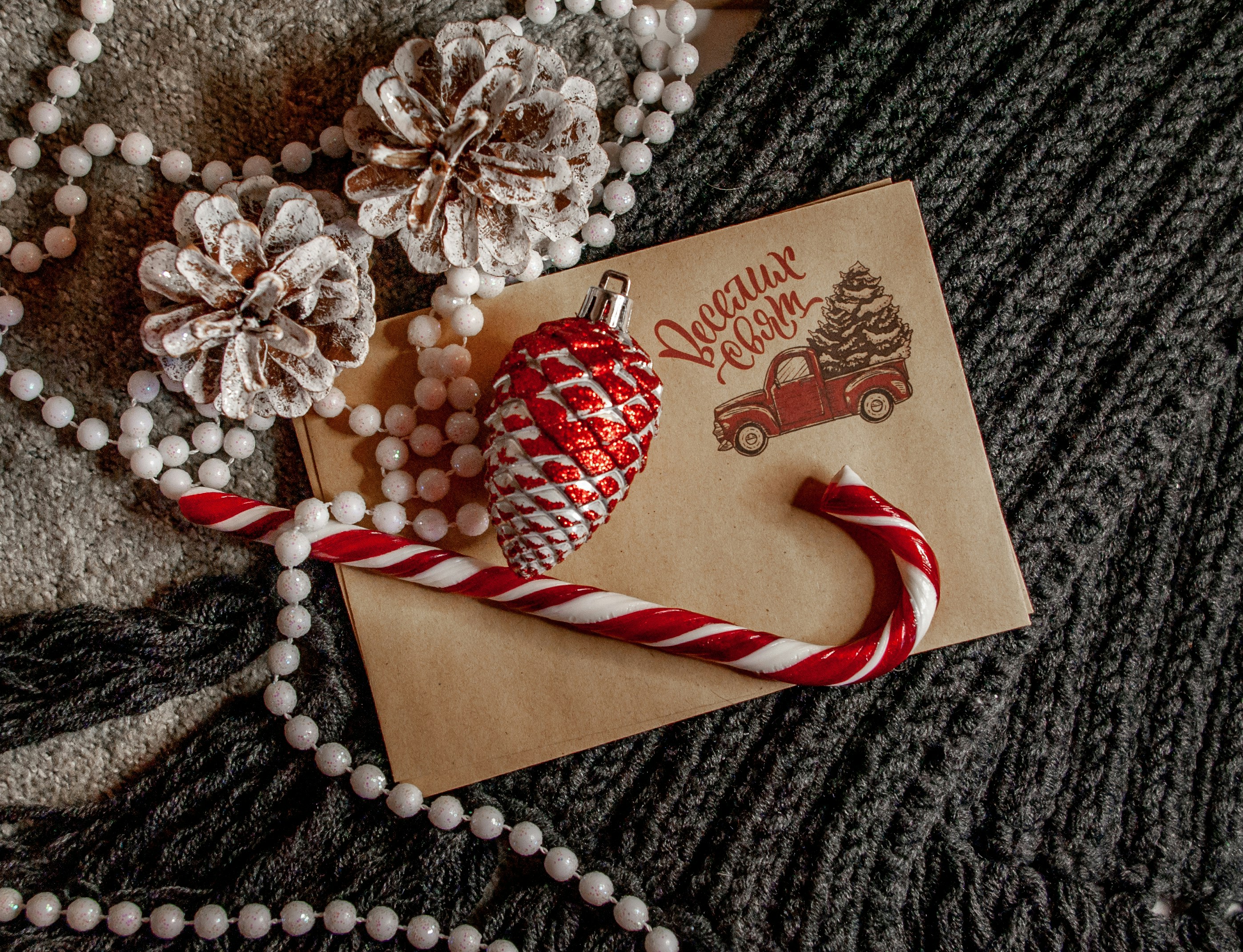 Photo by moonmoons_days