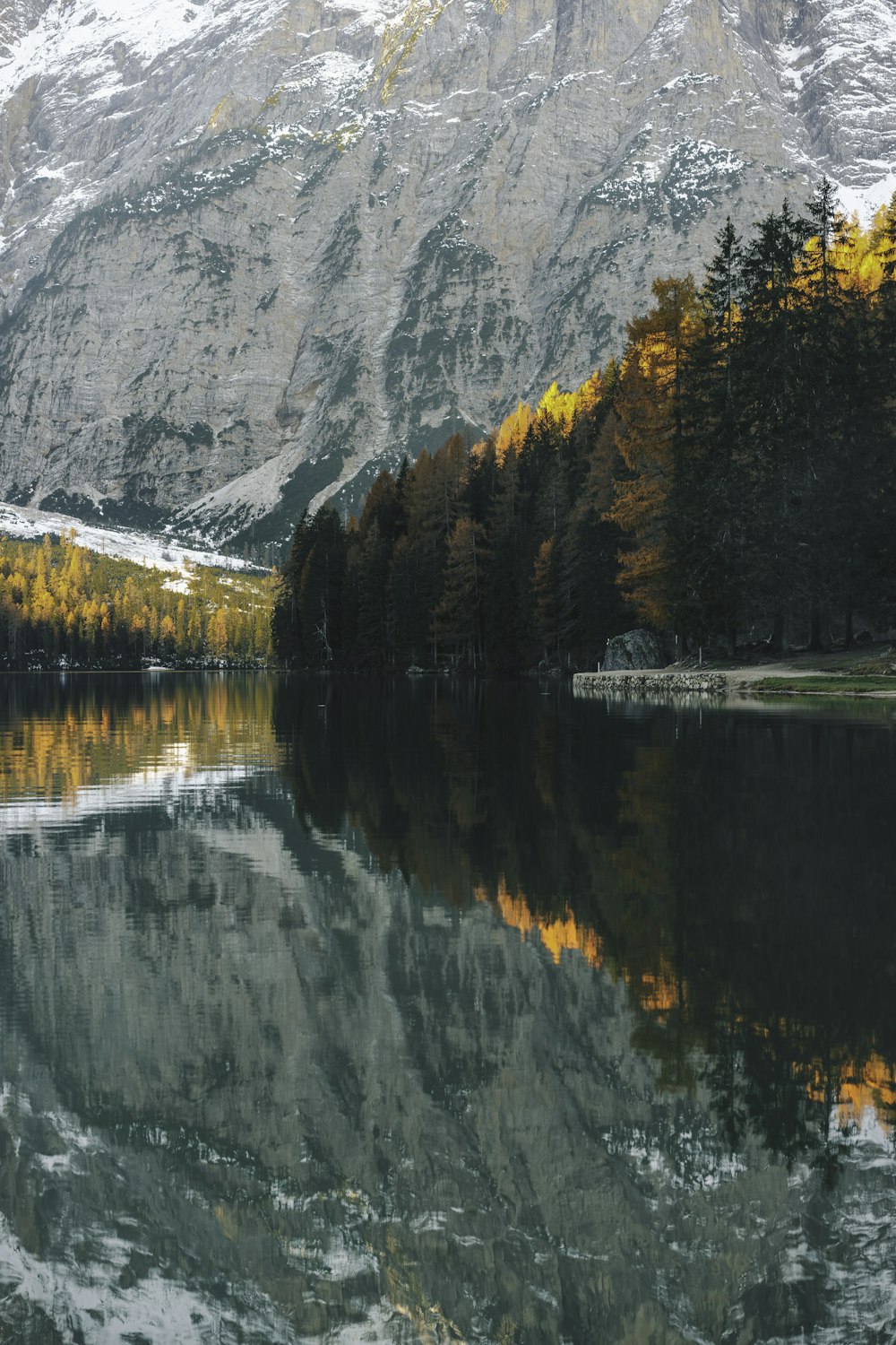 green trees near lake and mountain during daytime