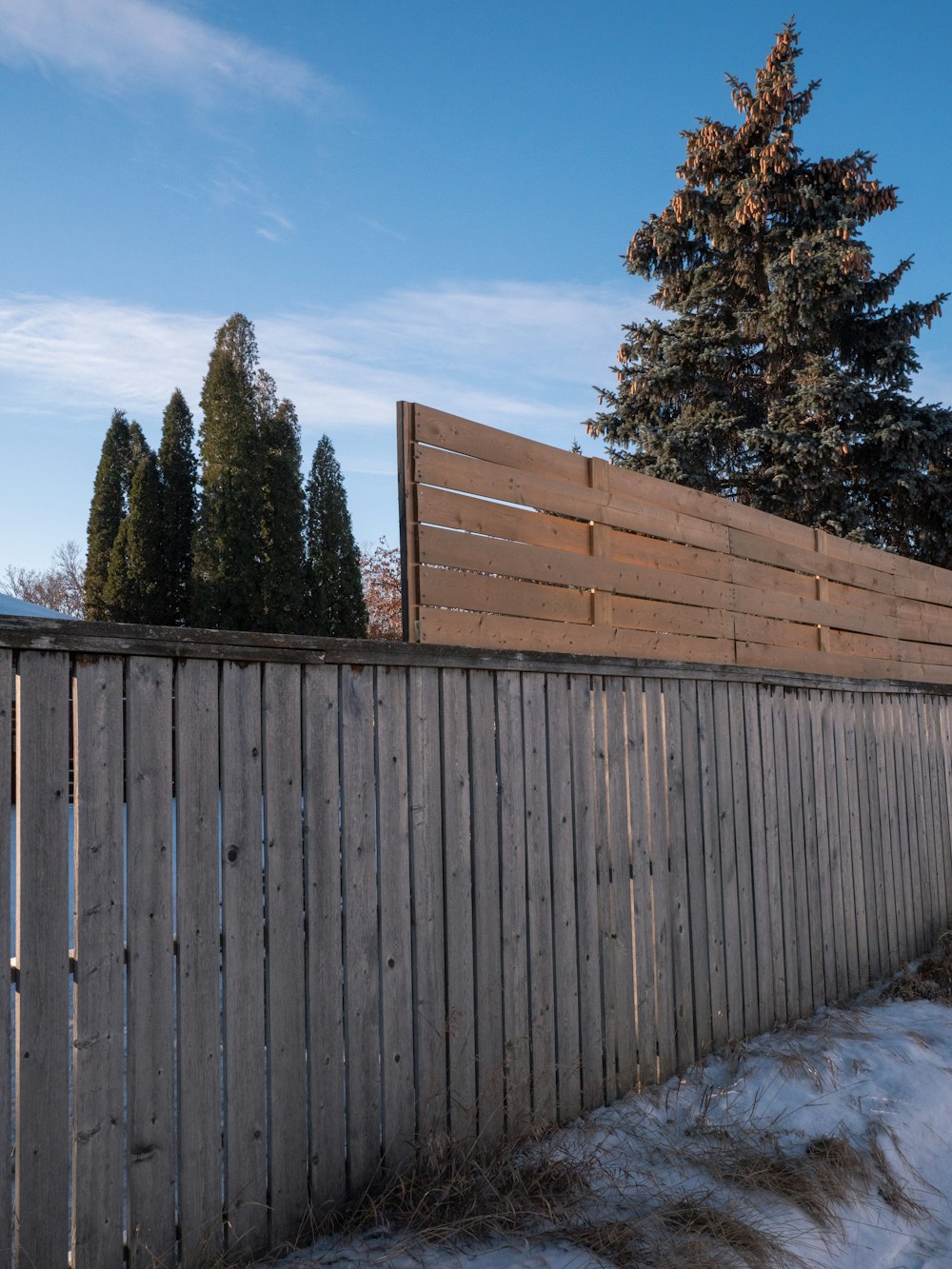 brown wooden fence near green trees under blue sky during daytime