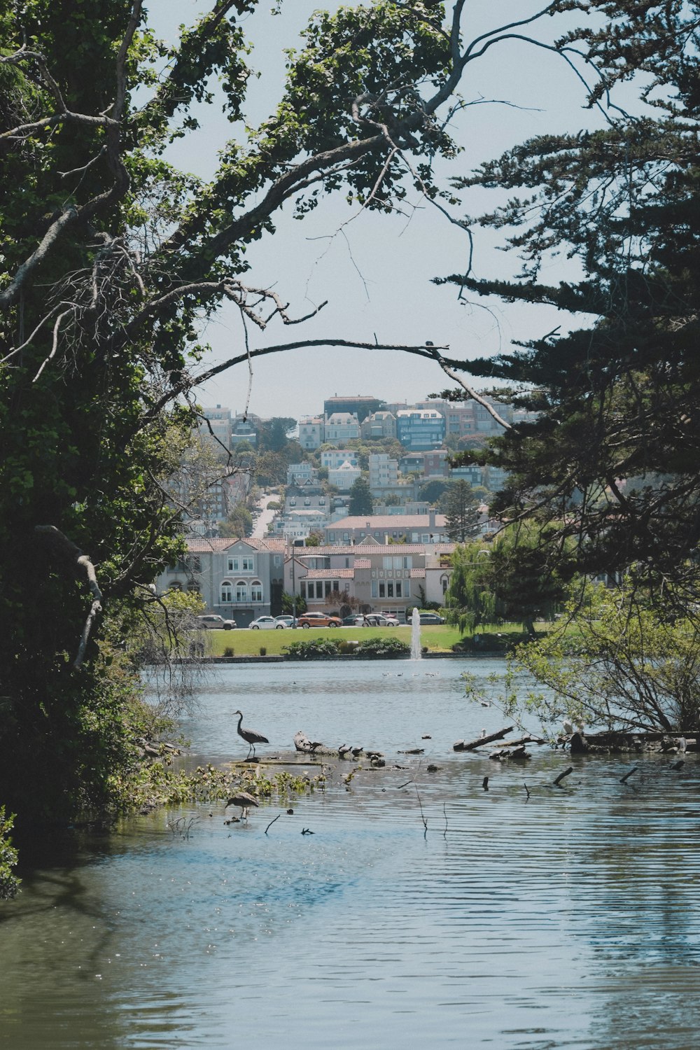 body of water near trees and buildings during daytime
