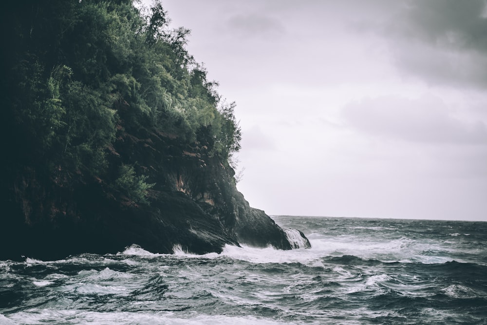 green trees on brown rock formation near sea during daytime