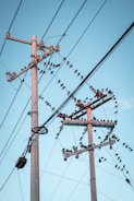 brown wooden electric post under blue sky during daytime