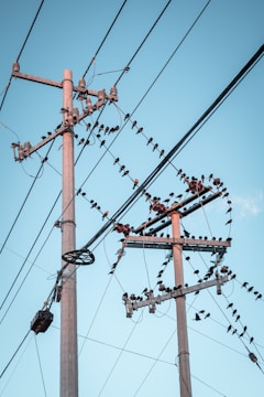 brown wooden electric post under blue sky during daytime