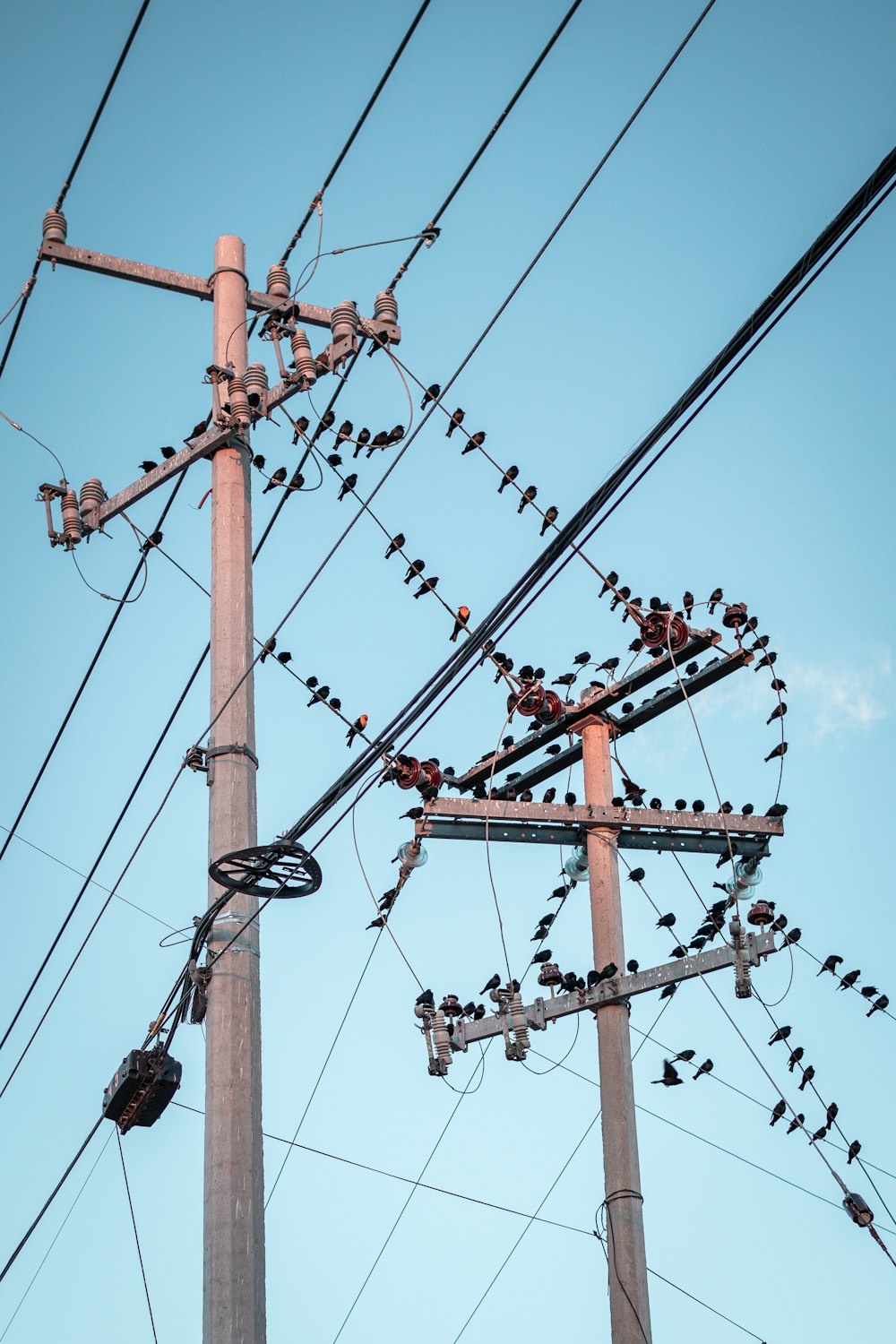 brown wooden electric post under blue sky during daytime