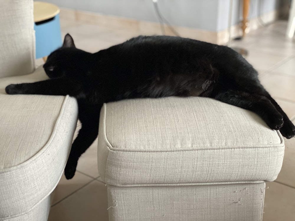 Schwarze Katze liegt auf weißem Sofa