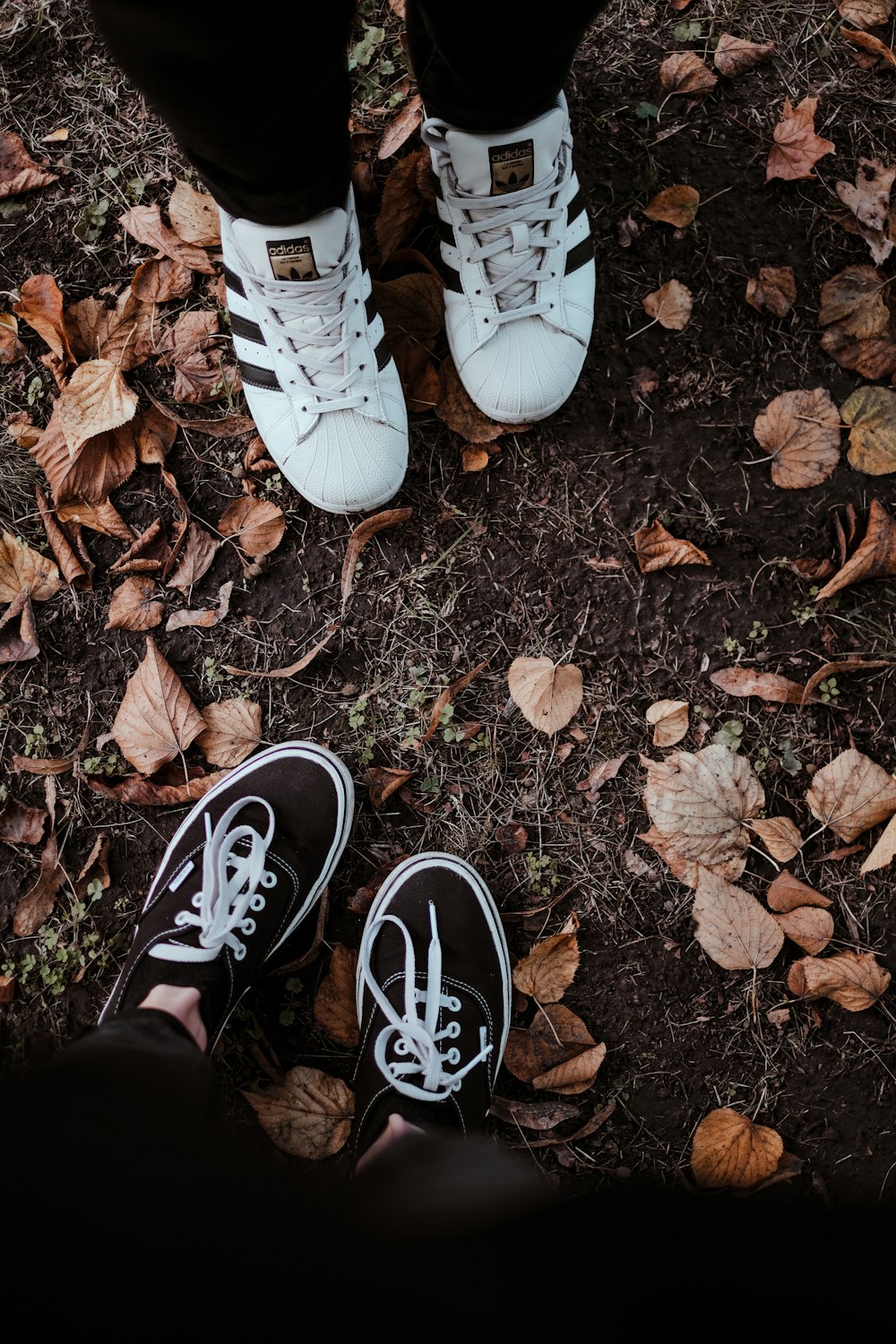 person wearing black and white sneakers standing on dried leaves