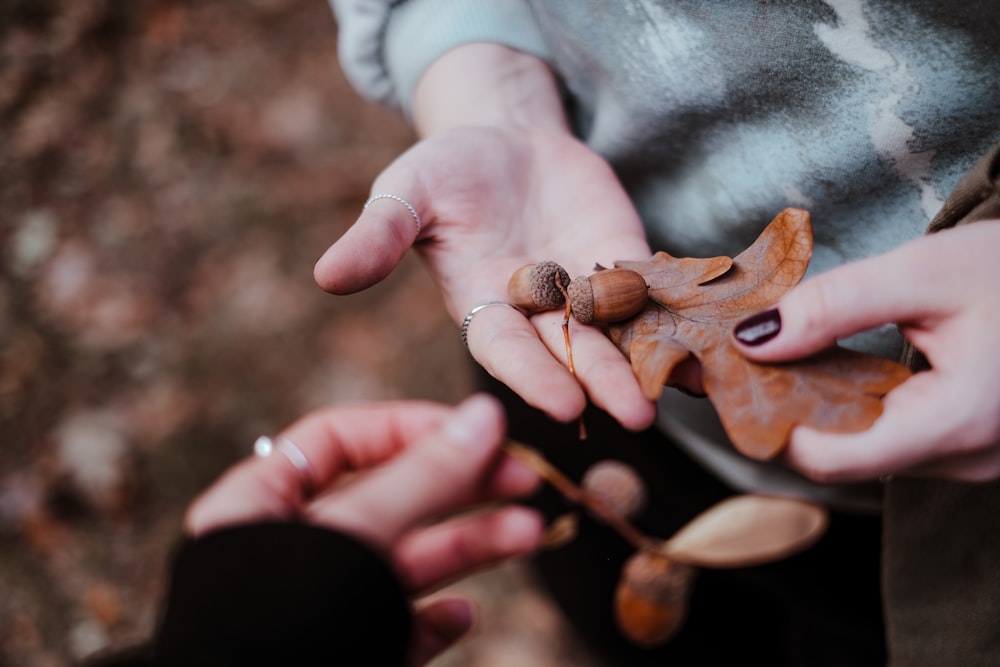 person holding brown wooden heart shaped decor