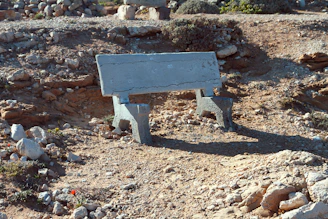 A rugged Texas-shaped concrete stone resting on a wooden workbench with sunlight streaming in.