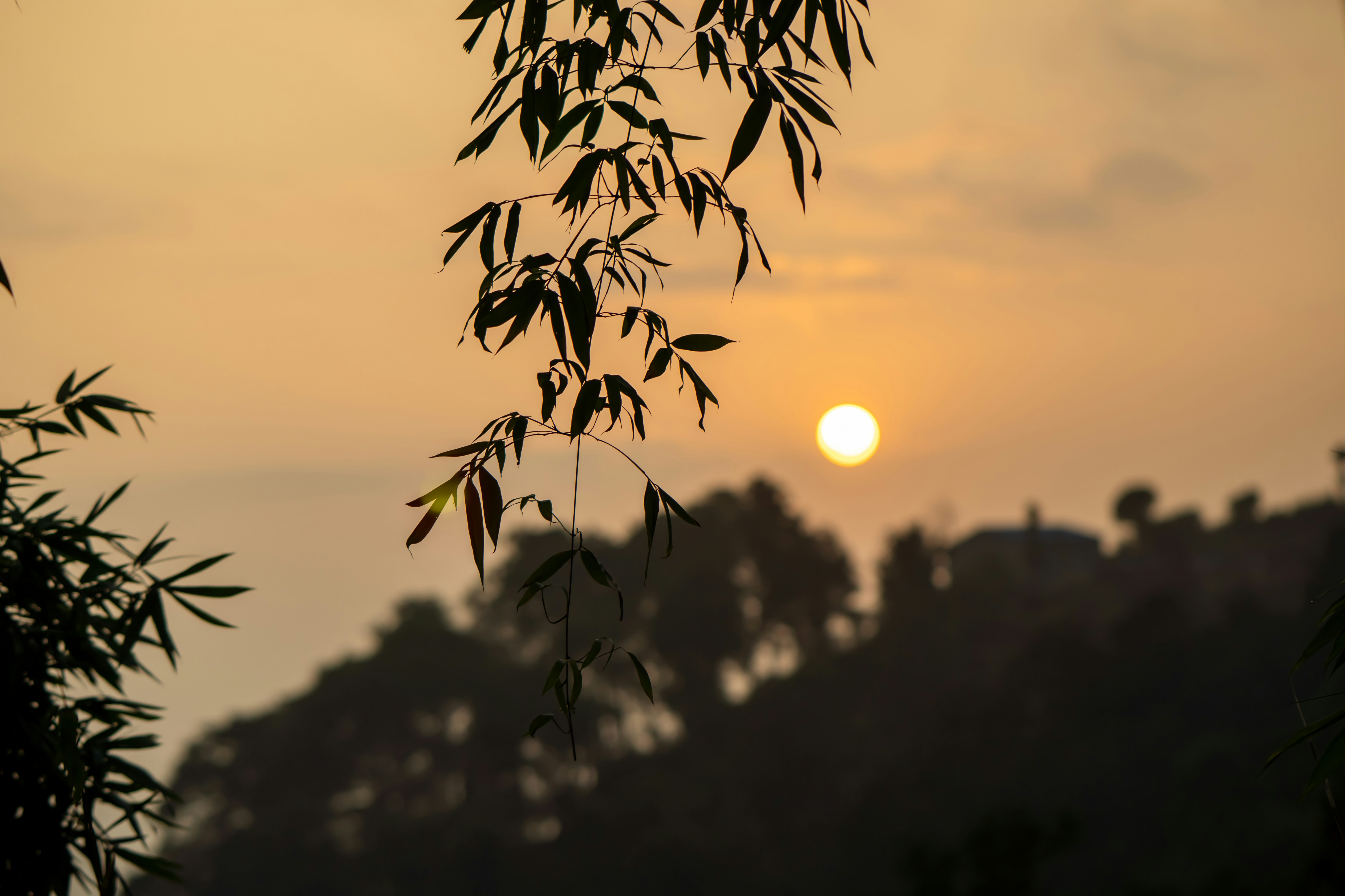 Photo by raimondklavins