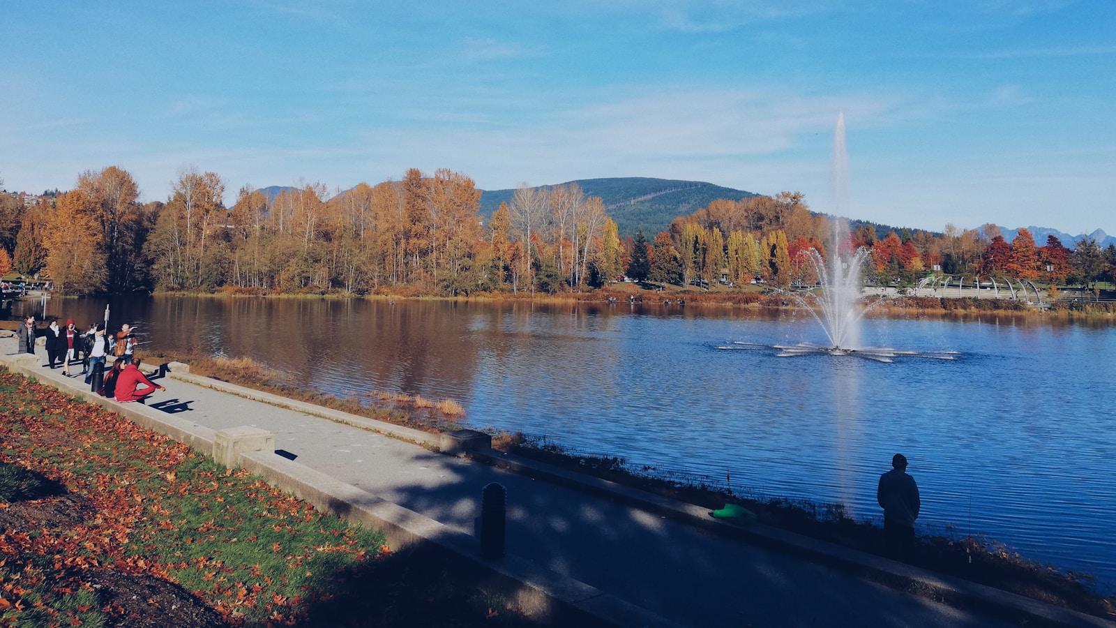 Looking to invest in townhouse & condominiums in Burnaby, Coquitlam and Port Moody?