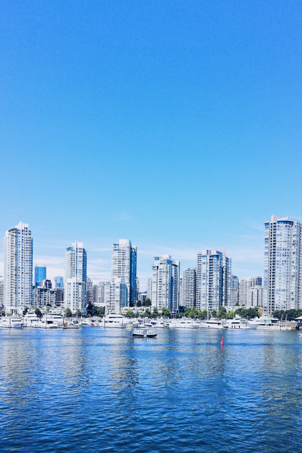 city skyline across body of water during daytime