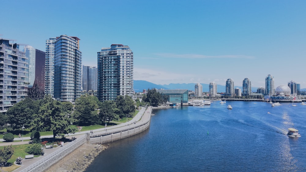 city skyline near body of water during daytime