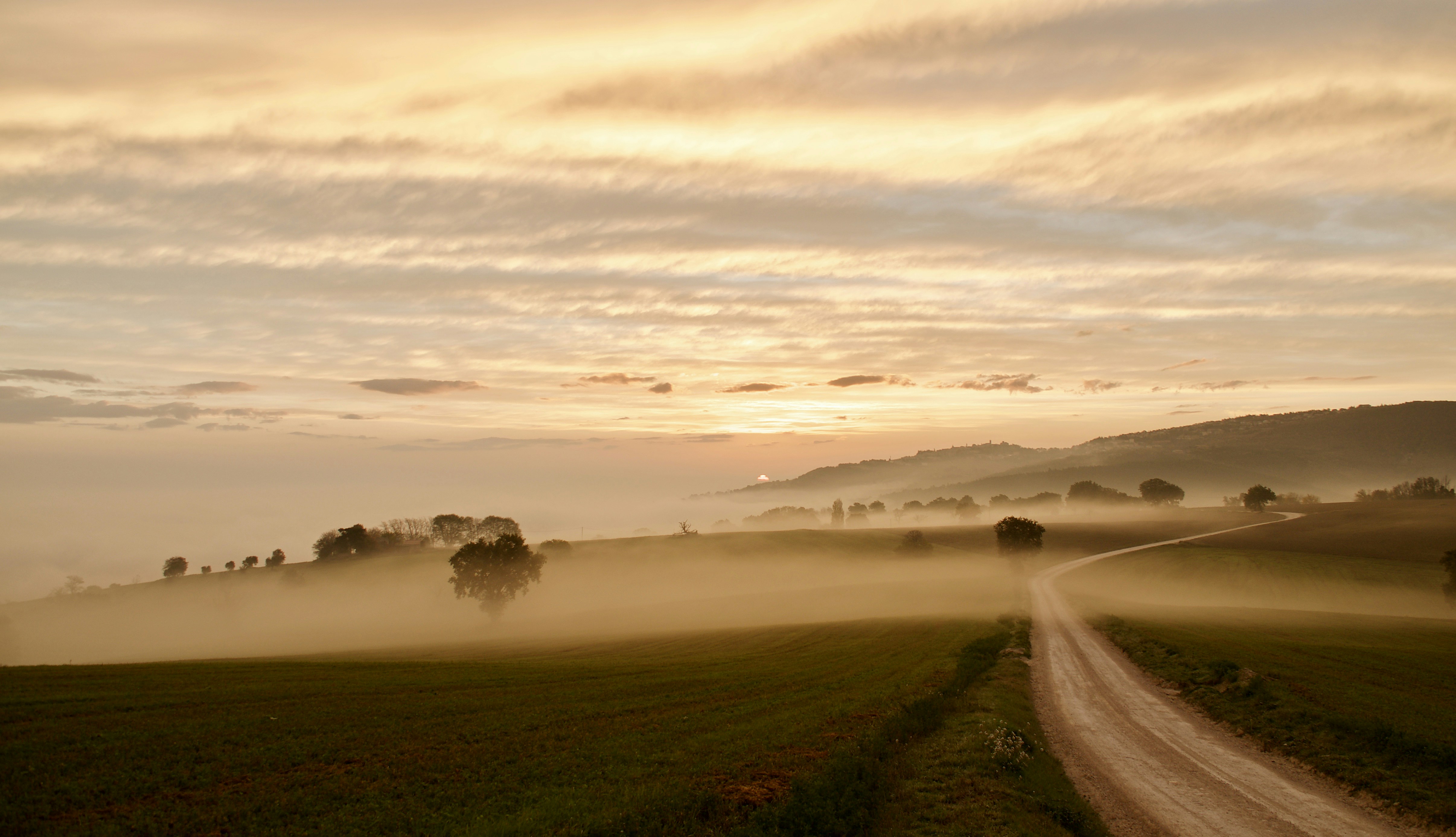 Photo by mariobeducci