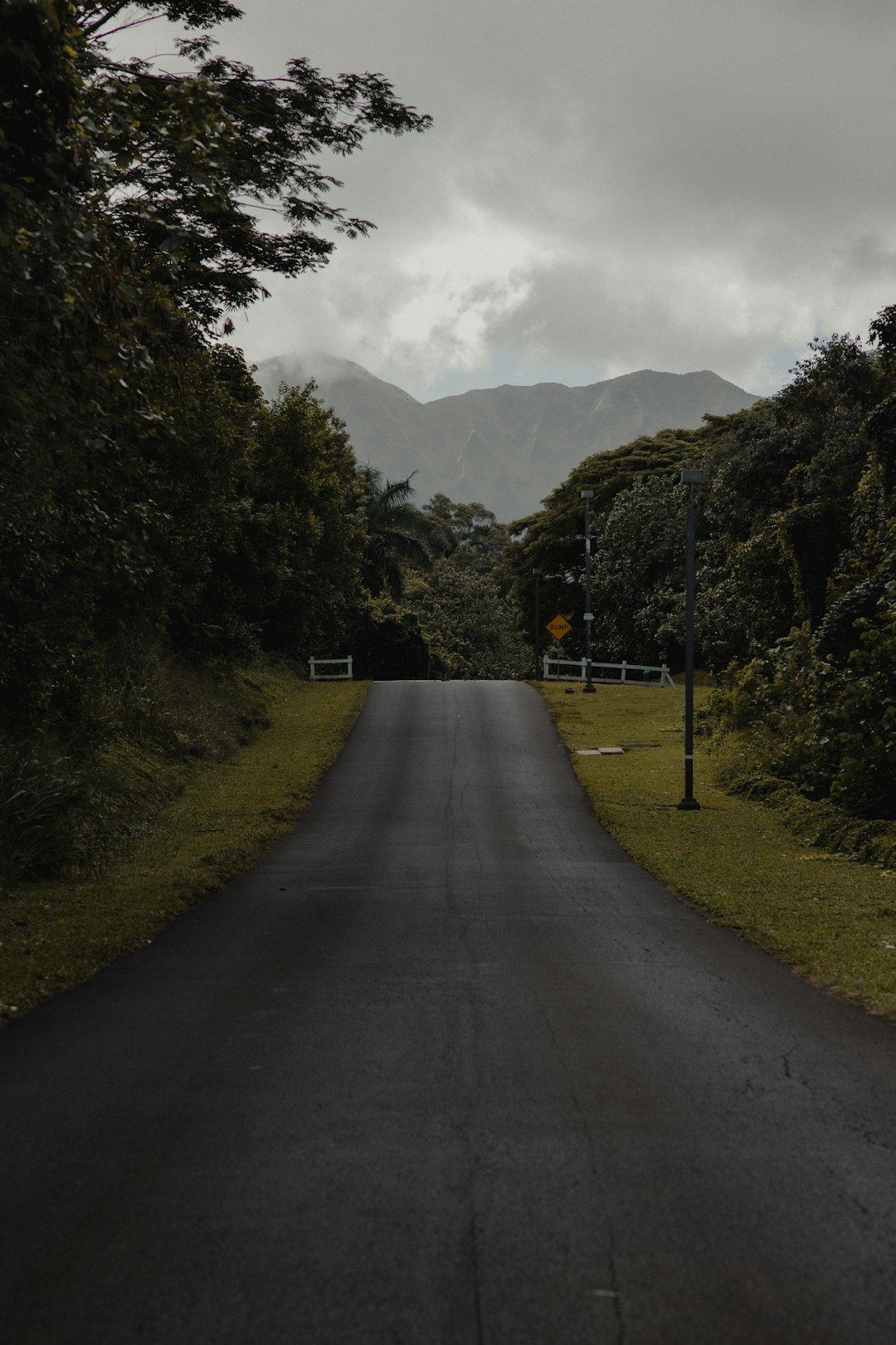 gray concrete road between green grass field and trees during daytime