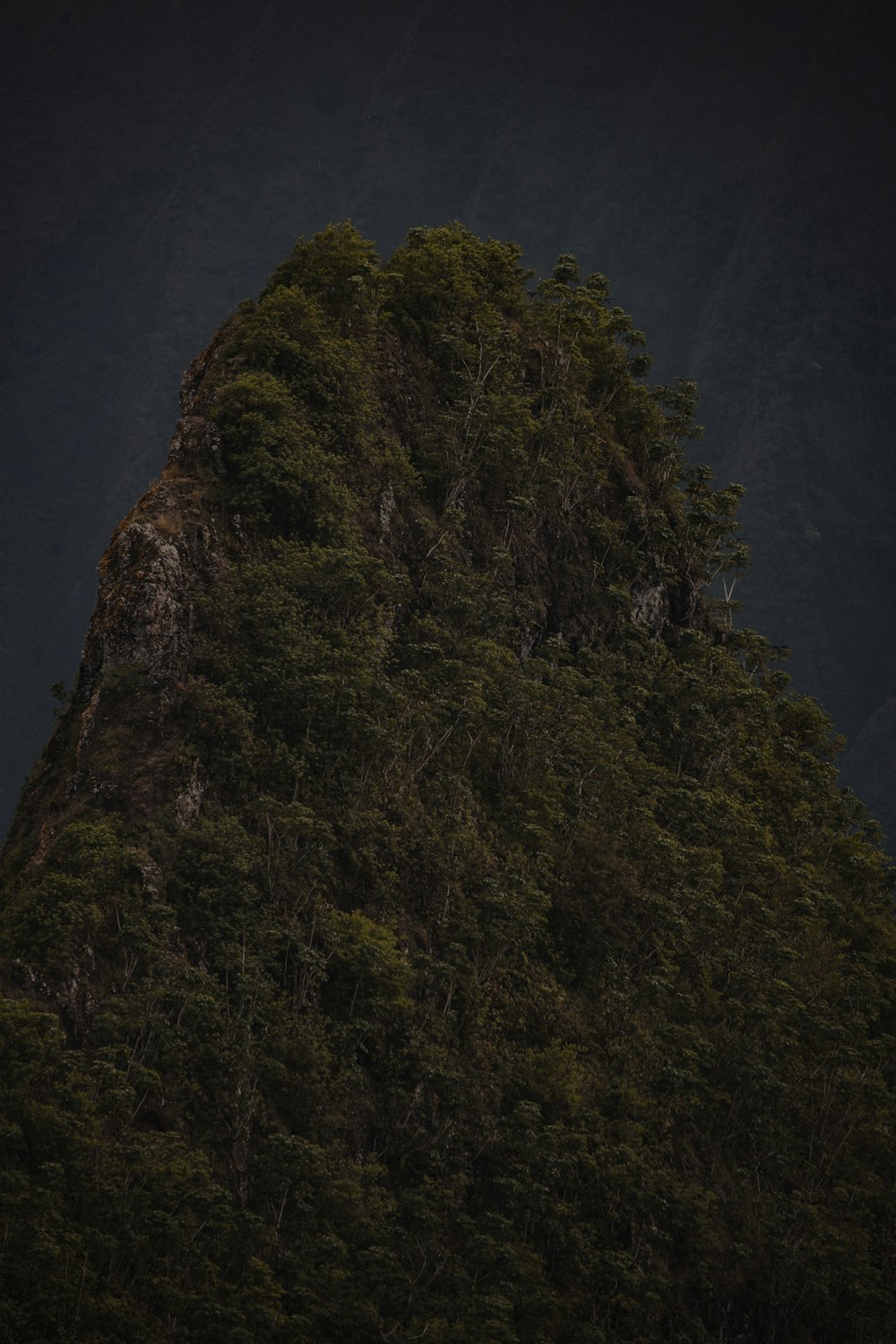 green trees on mountain during daytime