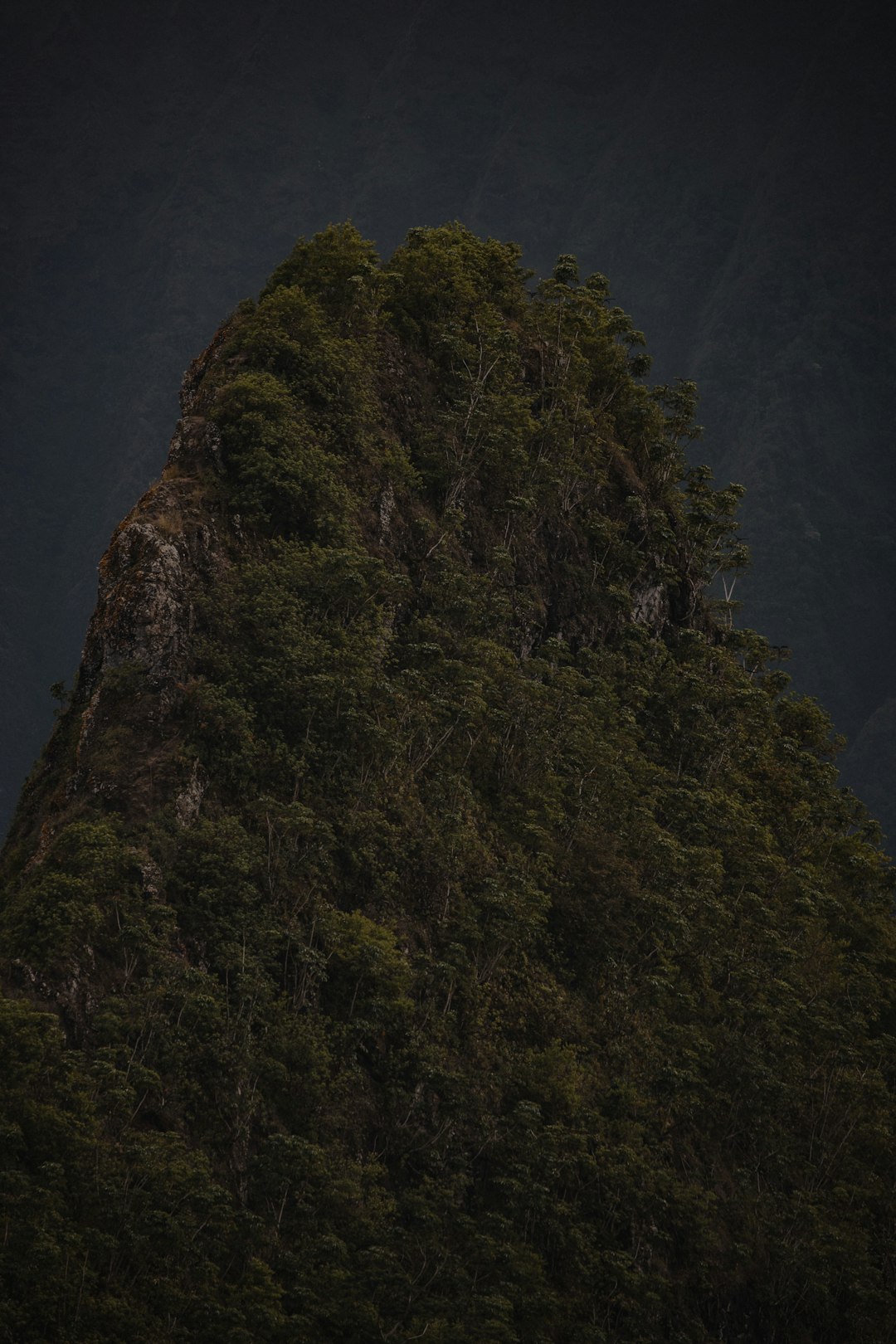 green trees on mountain during daytime