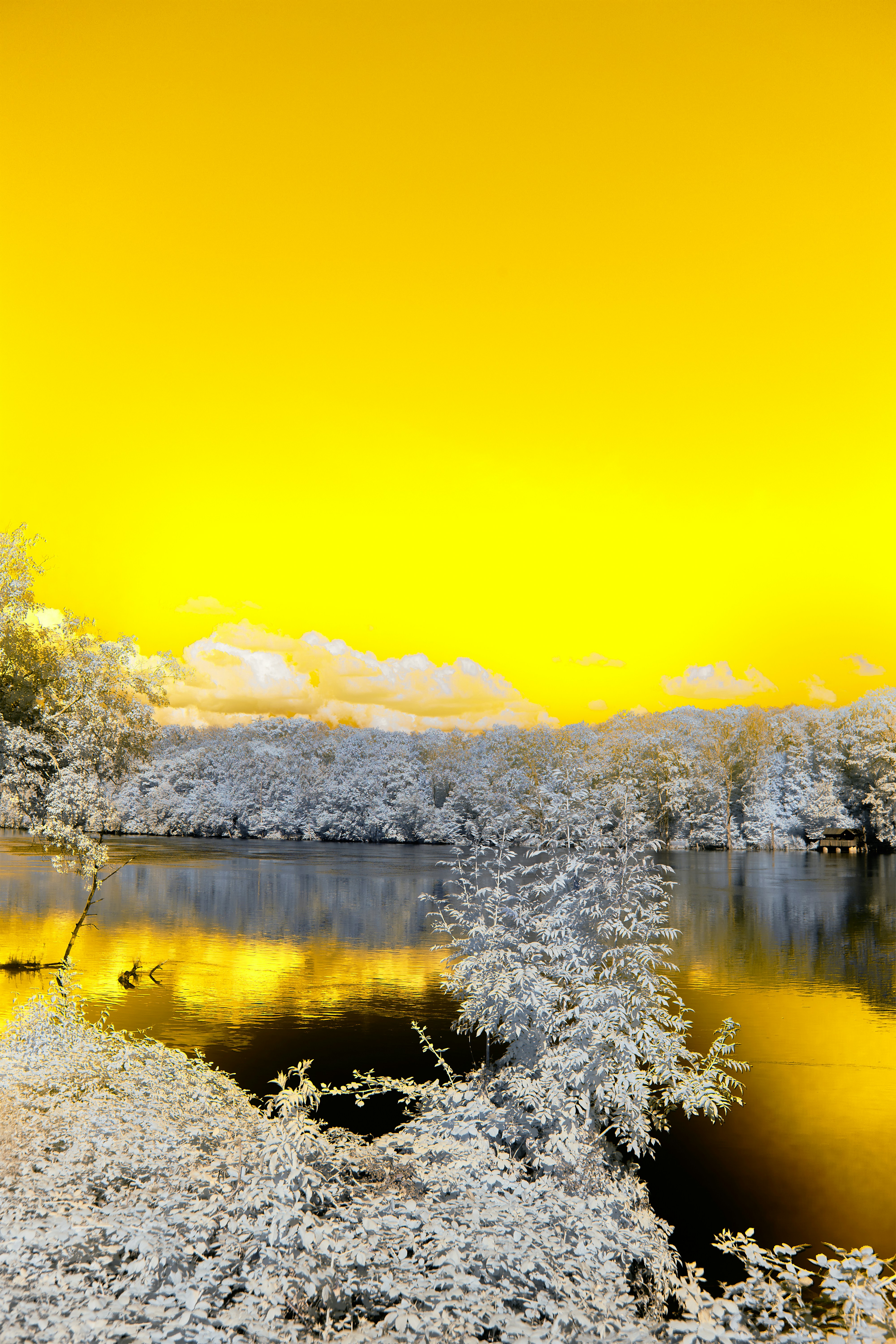 Photo by wolfgang_hasselmann