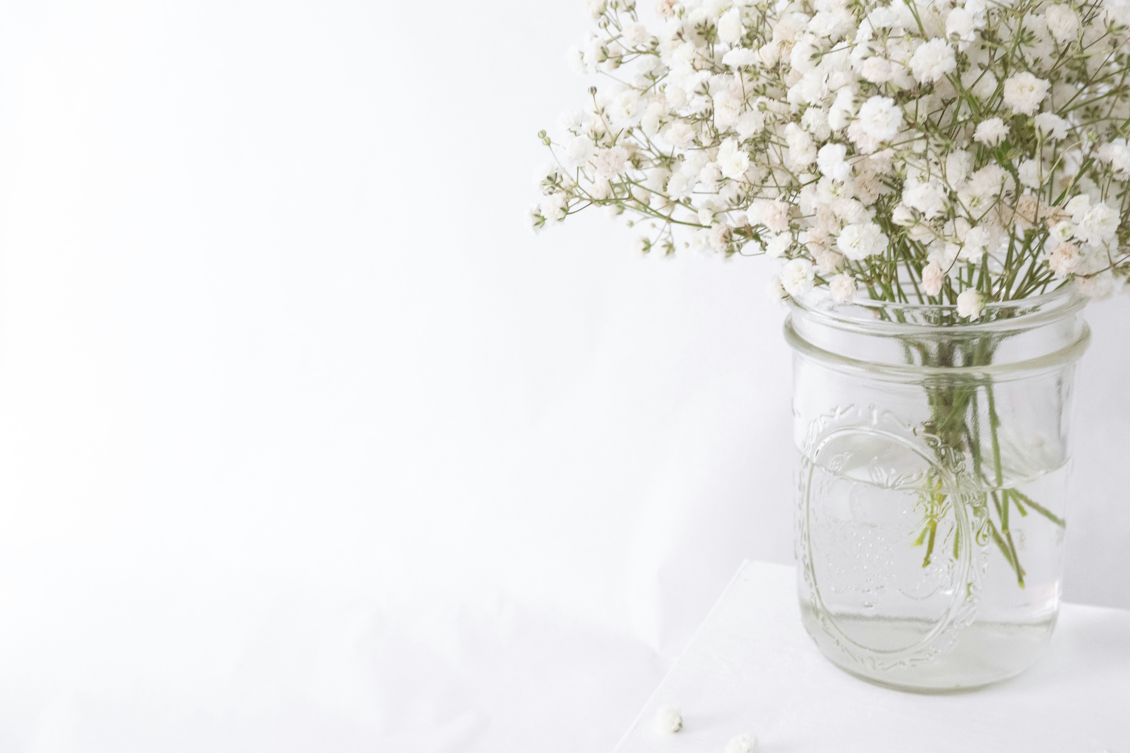 Photo by fionamurrayphoto