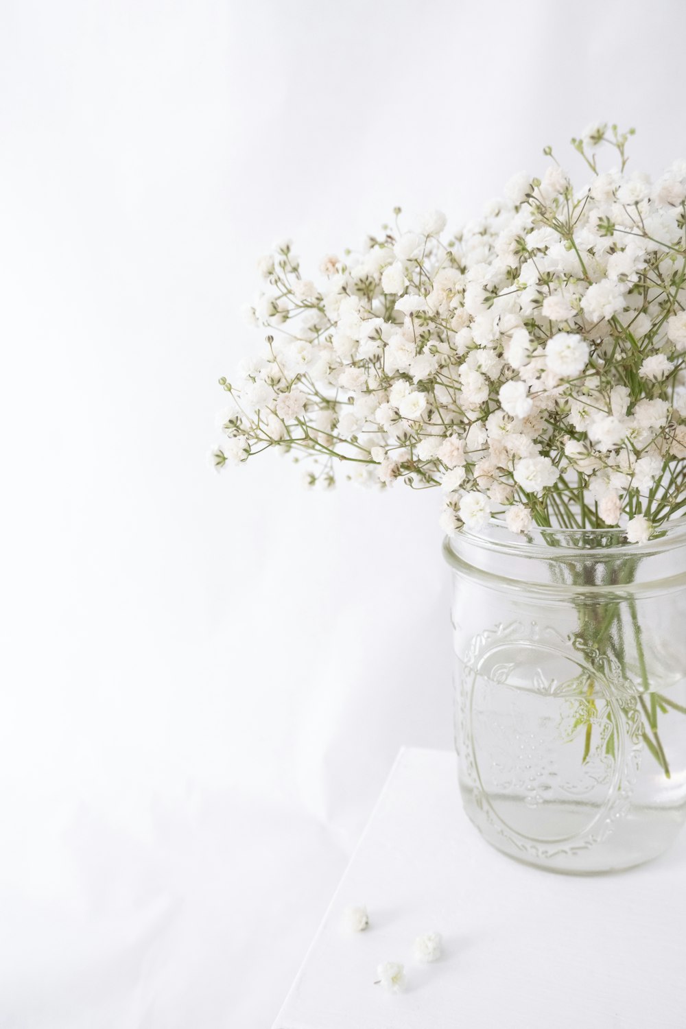 flores blancas en jarrón de vidrio transparente