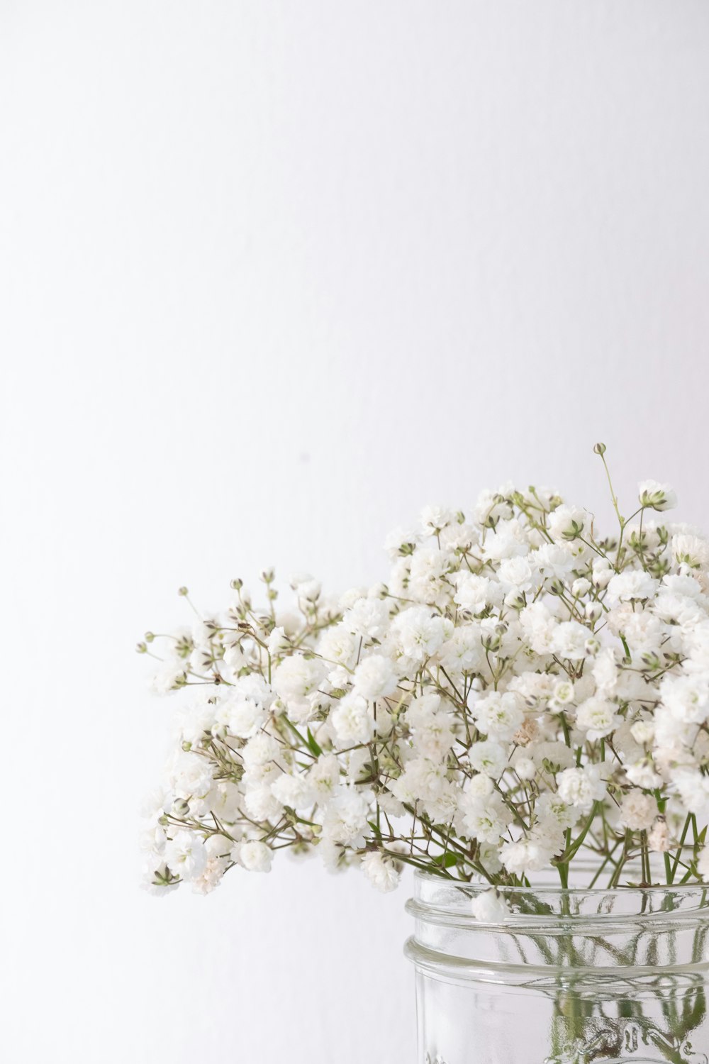 white flowers with green leaves