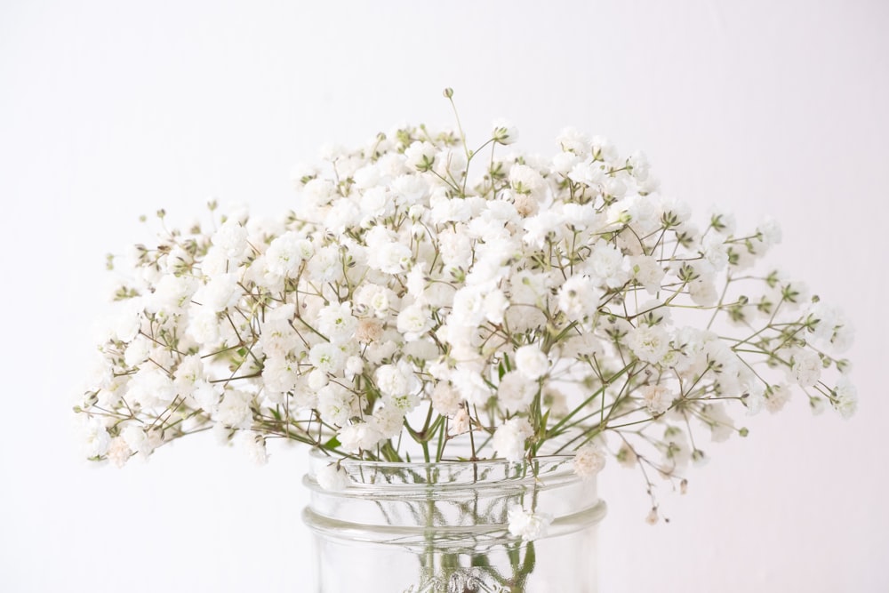 white flowers in clear glass vase