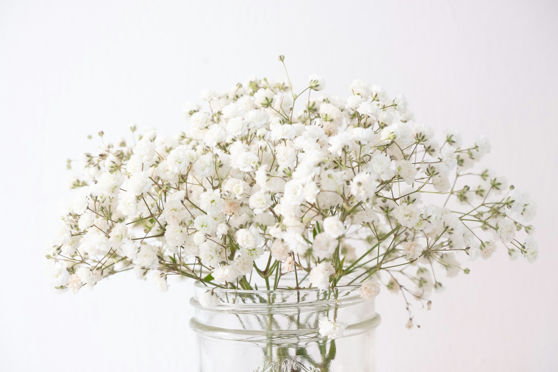 white flowers in clear glass vase