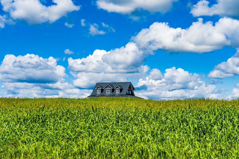 green and black house on green grass field under blue and white sunny cloudy sky during