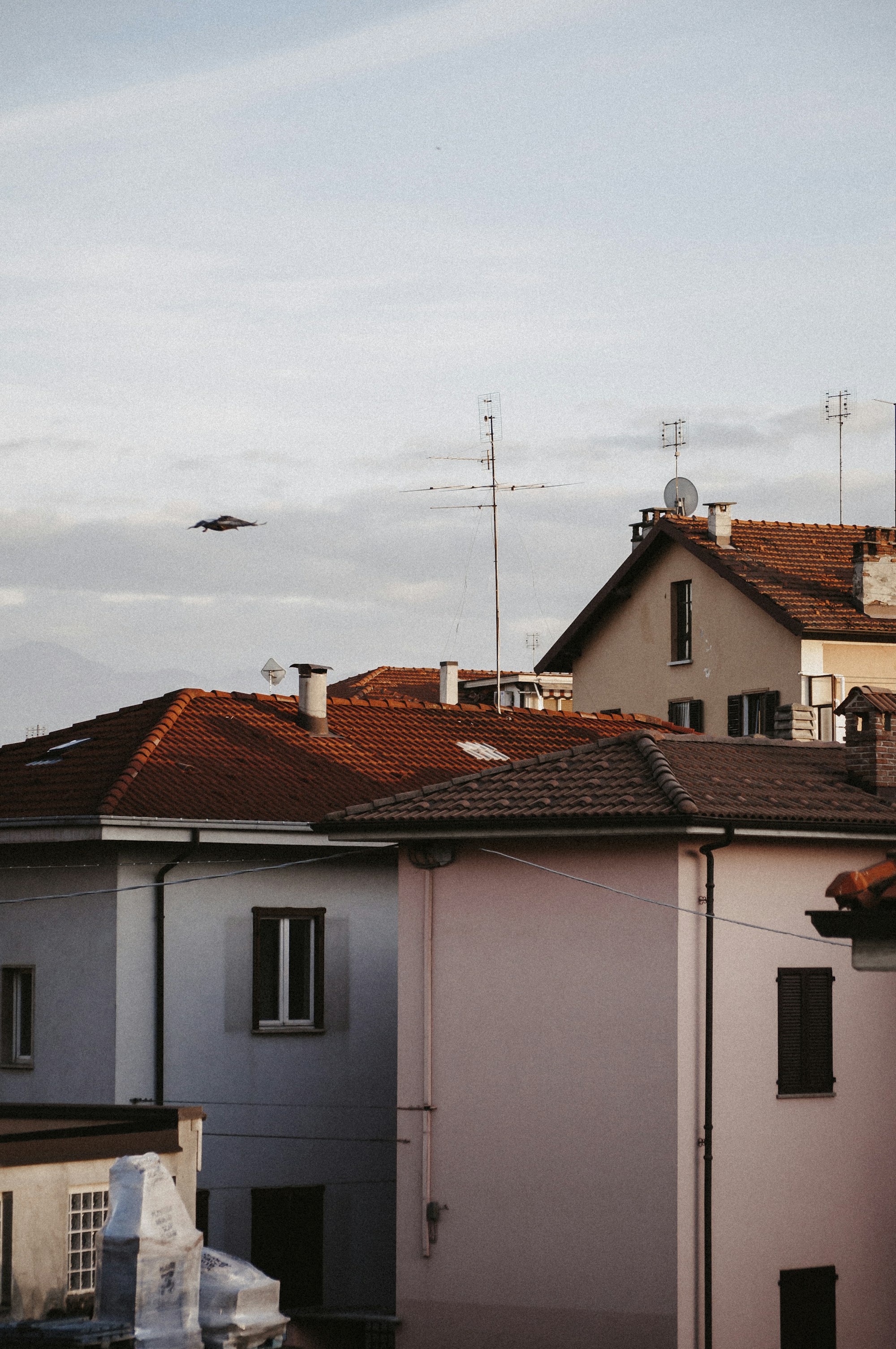 What to See in Cuneo: A Comprehensive Travel Guide