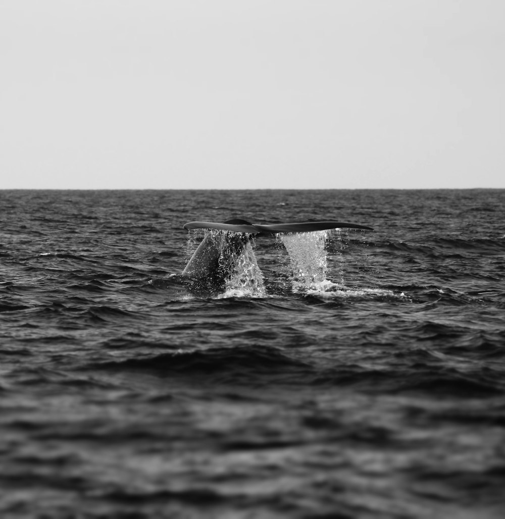 grayscale photo of water splash