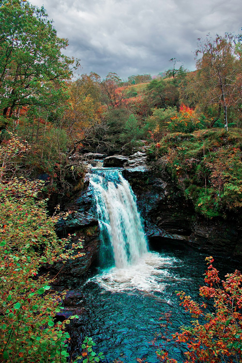 Cascadas en el bosque durante el día