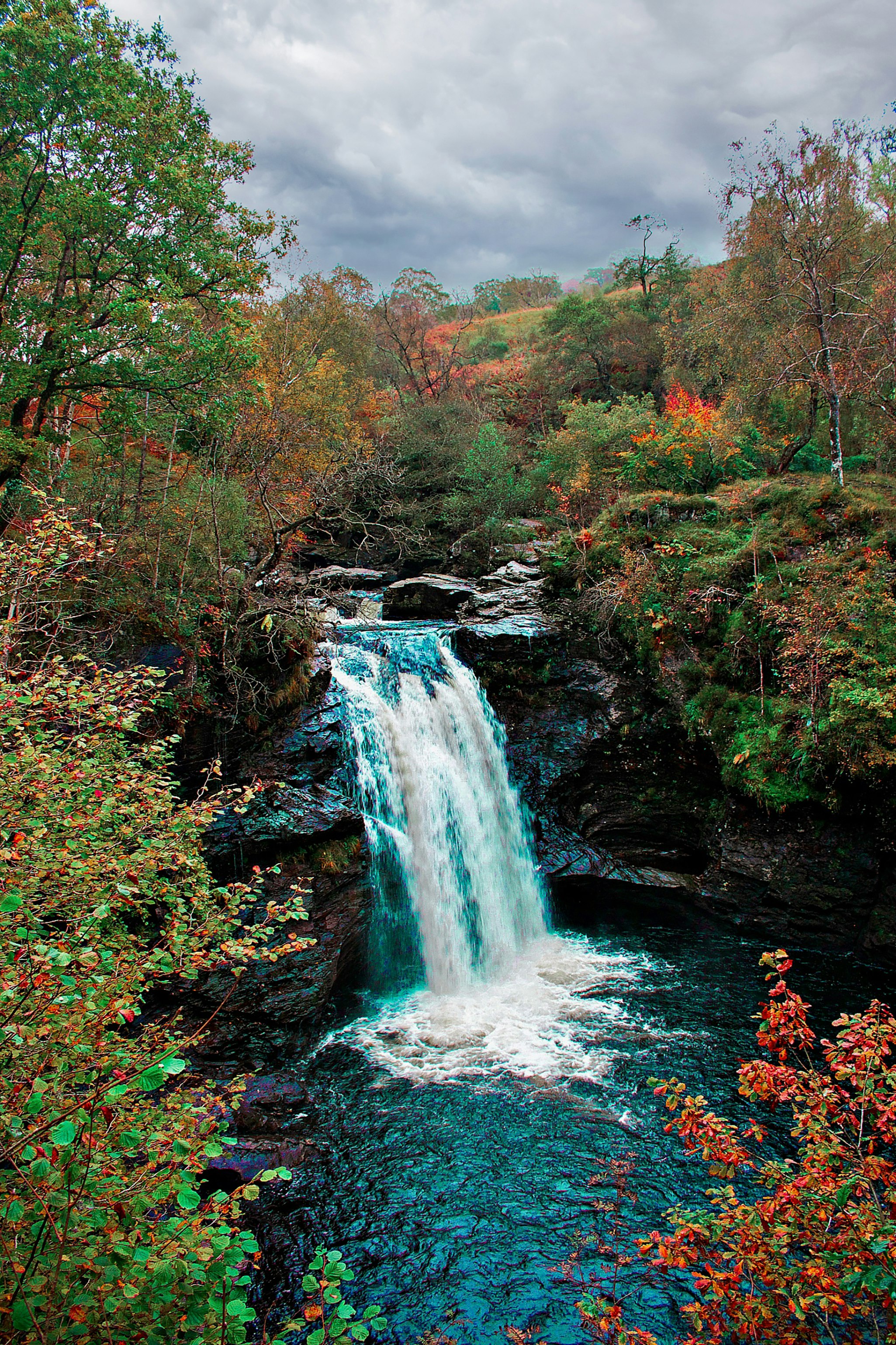 waterfalls in forest during daytime