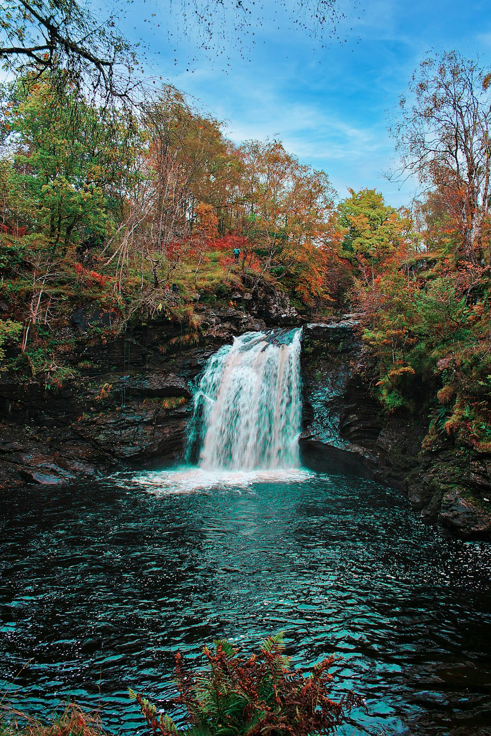 waterfalls in the middle of forest during daytime