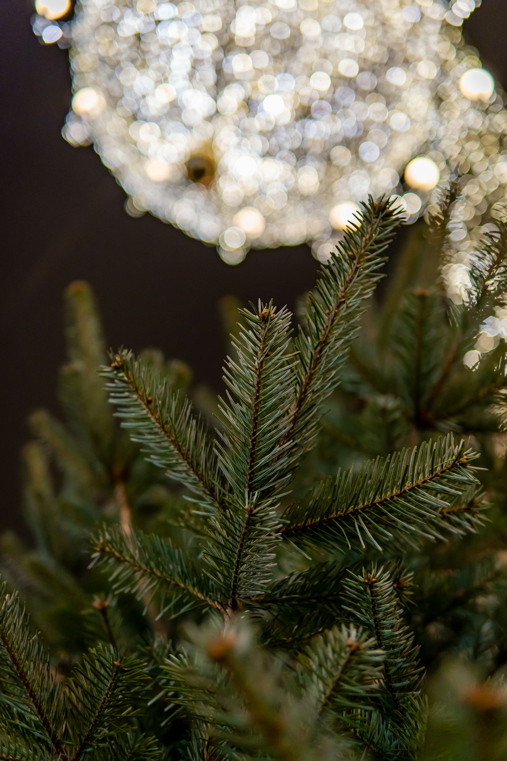 white and silver christmas tree with white string lights