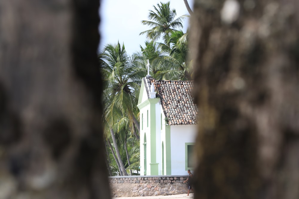 Maison en béton blanc près d’un palmier vert pendant la journée