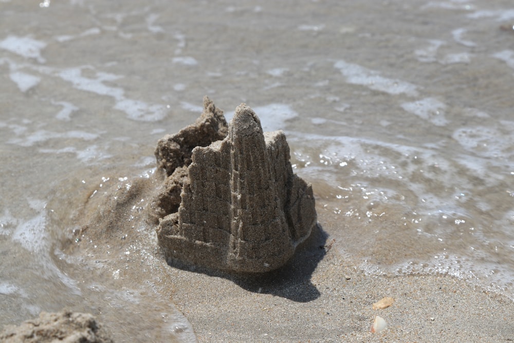 brown rock on brown sand near body of water during daytime