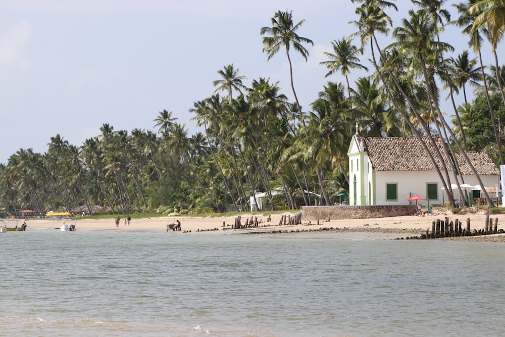 personnes sur la plage pendant la journée