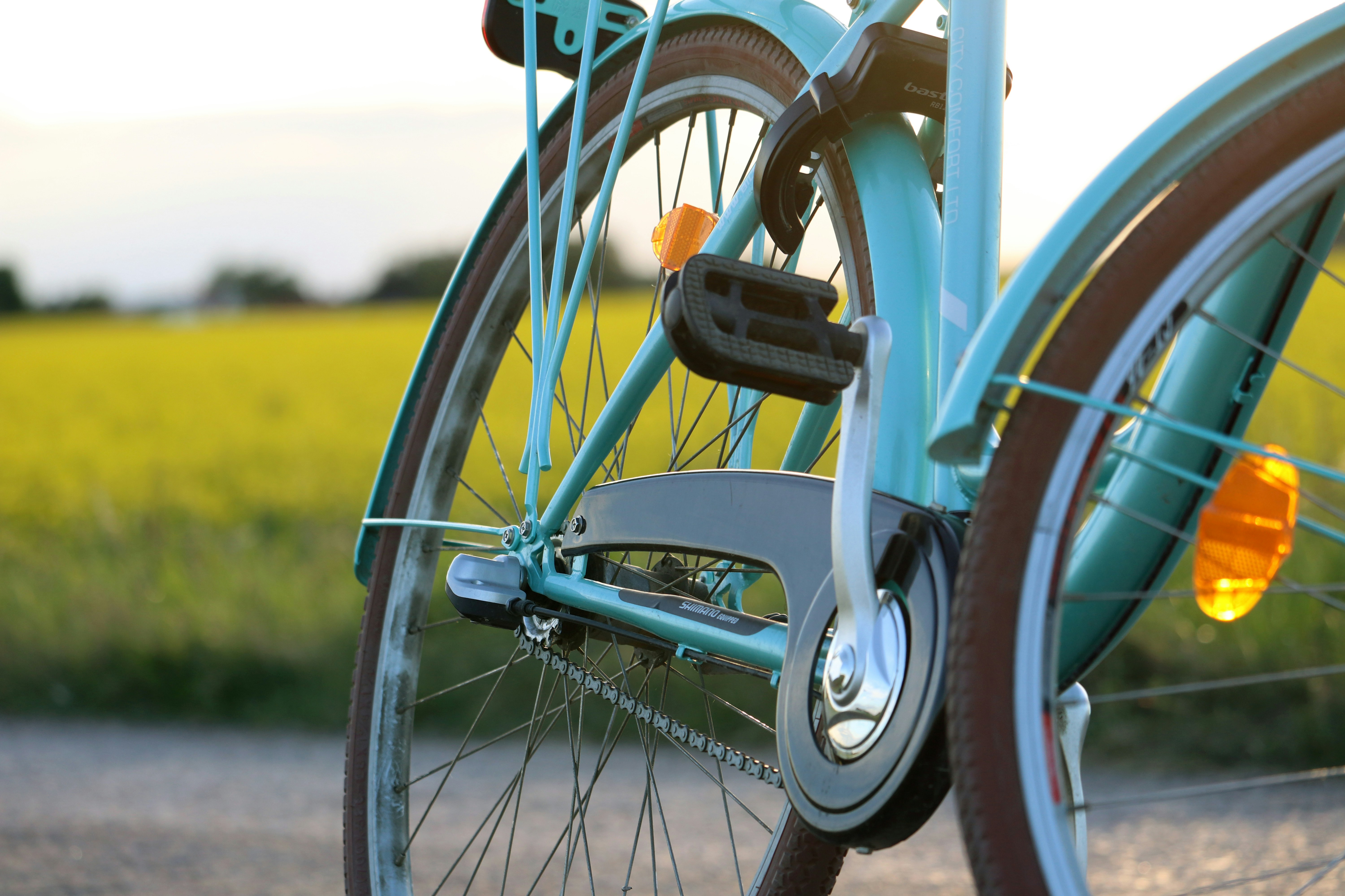 Photo by bionicdreamer