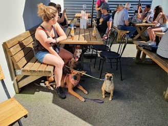 Happy customers enjoying dog de rua hot dogs seated at simple outdoor tables
