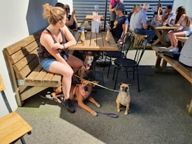 Several people are sitting at outdoor tables in a casual dining setting. A woman with sunglasses is seated on a wooden bench holding three dogs on leashes. Other customers are seen enjoying their drinks and conversations.