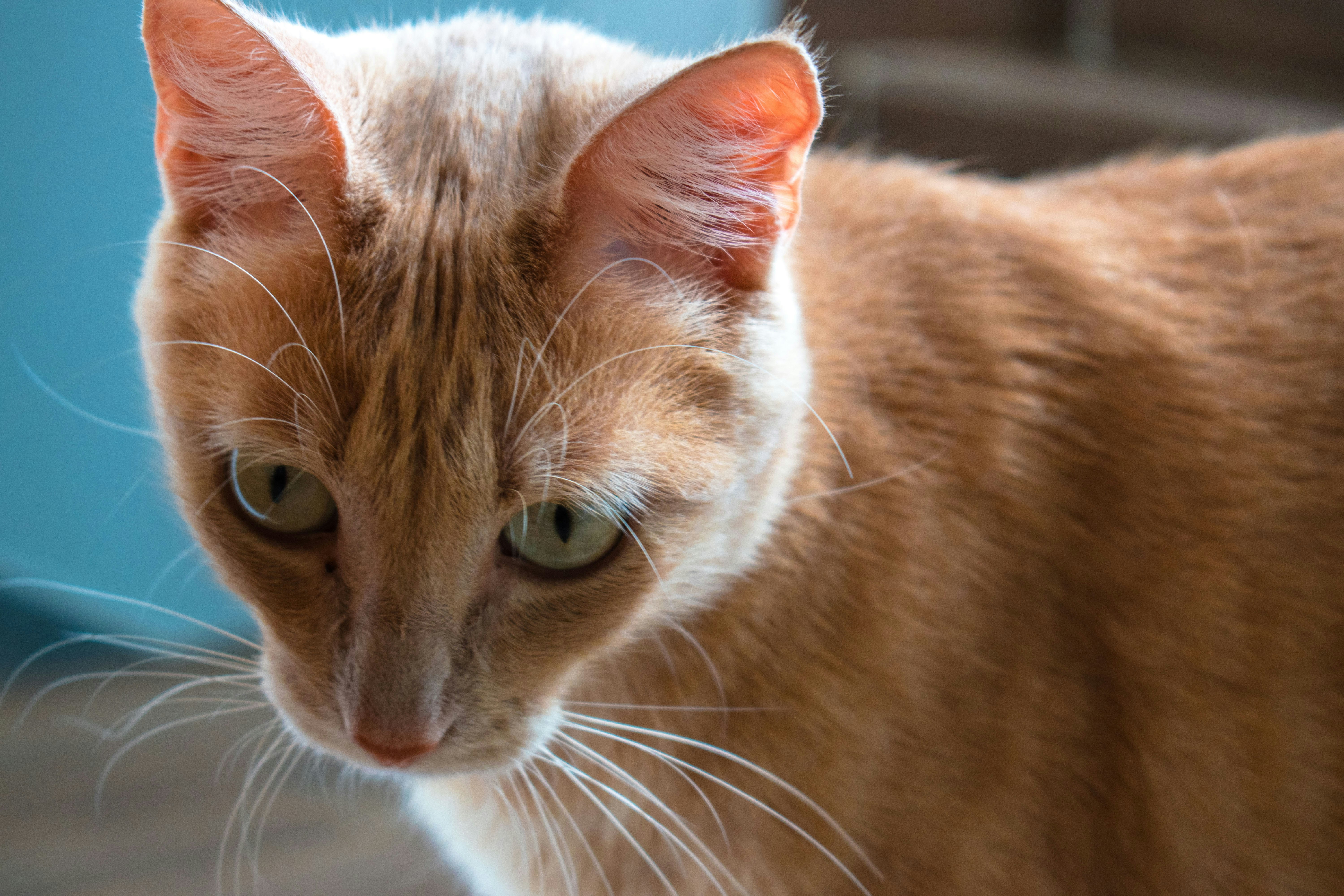 Photo by mateorojas7