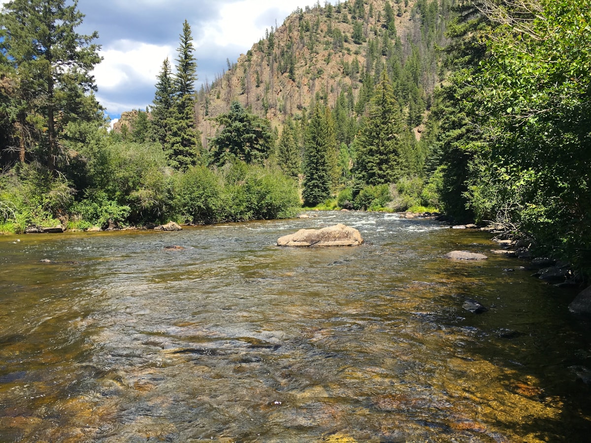 A clear Colorado tailwater under summer light — the season dictates which sections of the box earn the most use