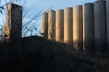 A series of large, cylindrical grain silos are bathed in the warm light of a setting or rising sun. In the foreground, dried vegetation and branches create a natural, slightly overgrown atmosphere. The silos are industrial in appearance, towering over the landscape with a tall, rectangular building visible to the left.