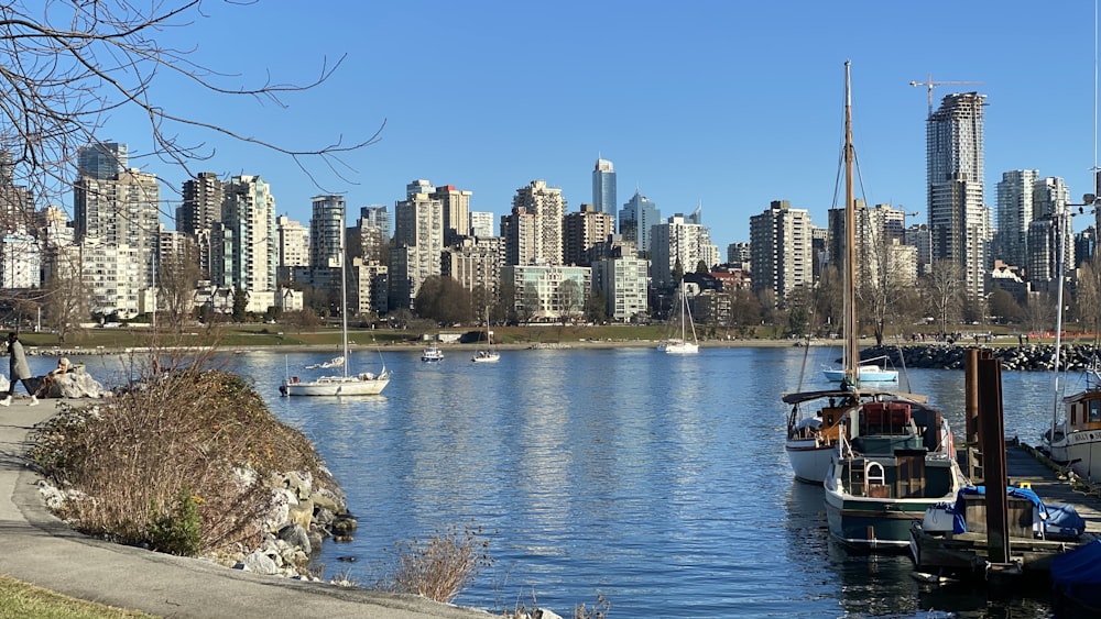 white and brown boat on body of water near city buildings during daytime