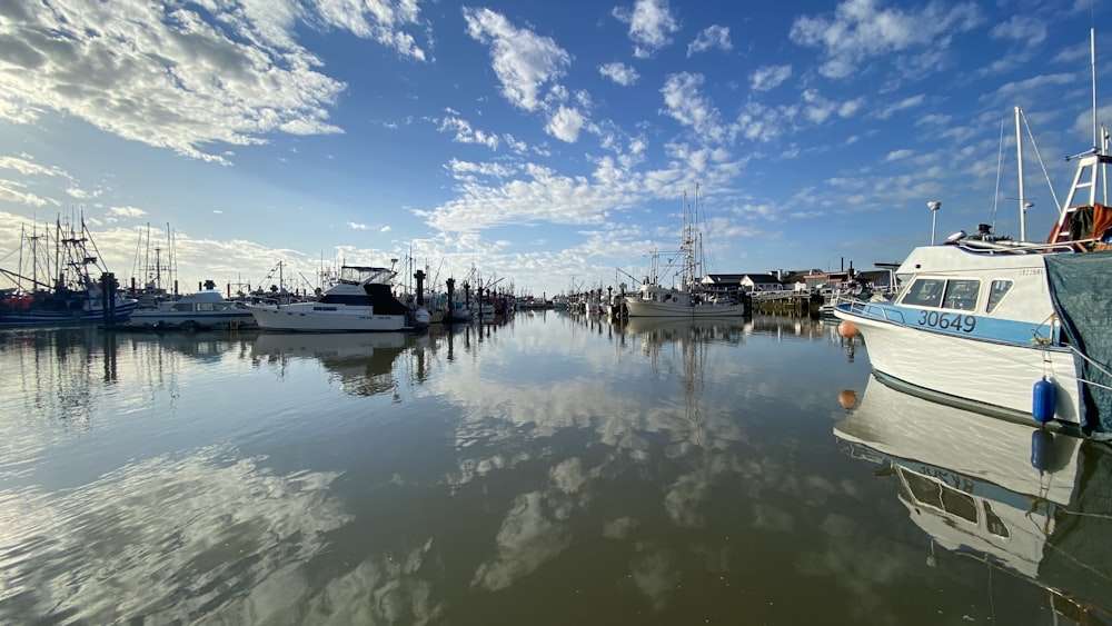 white boat on water under blue sky during daytime