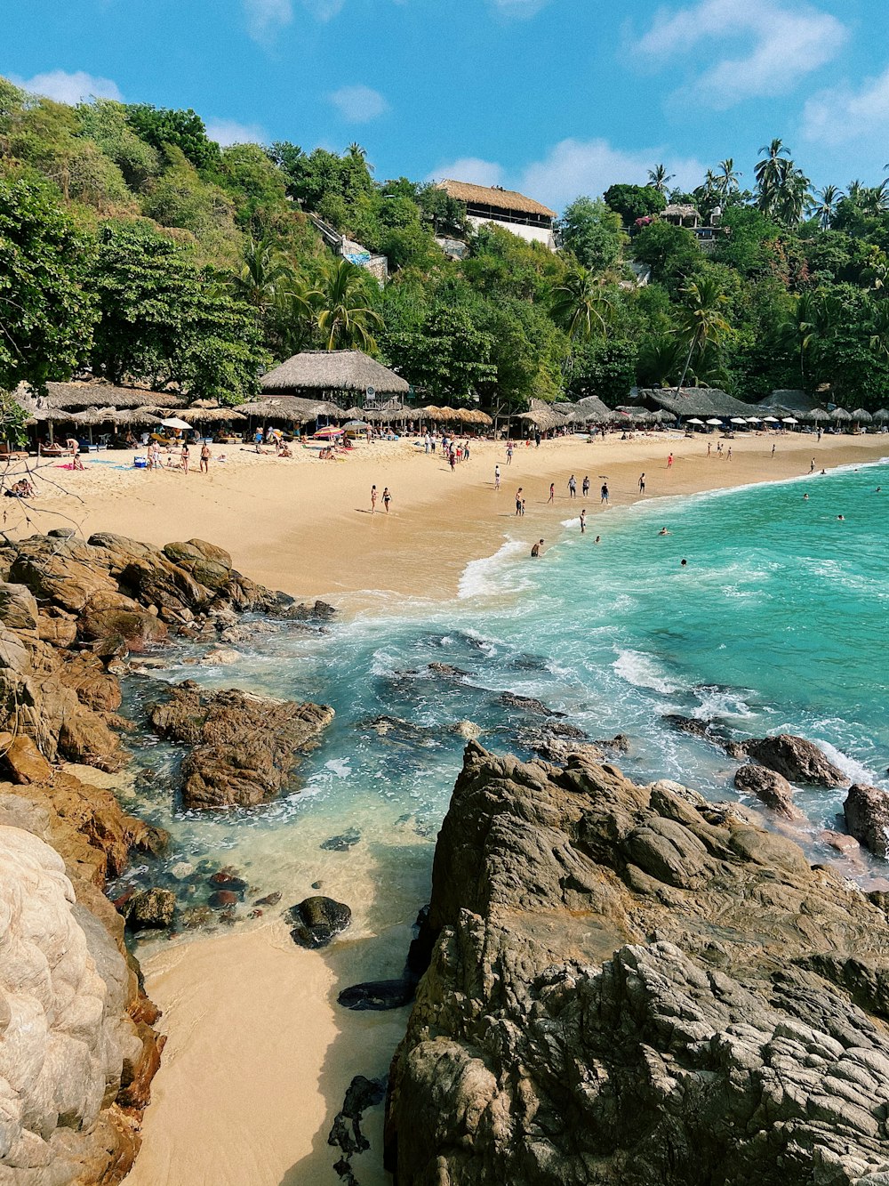 people on beach during daytime