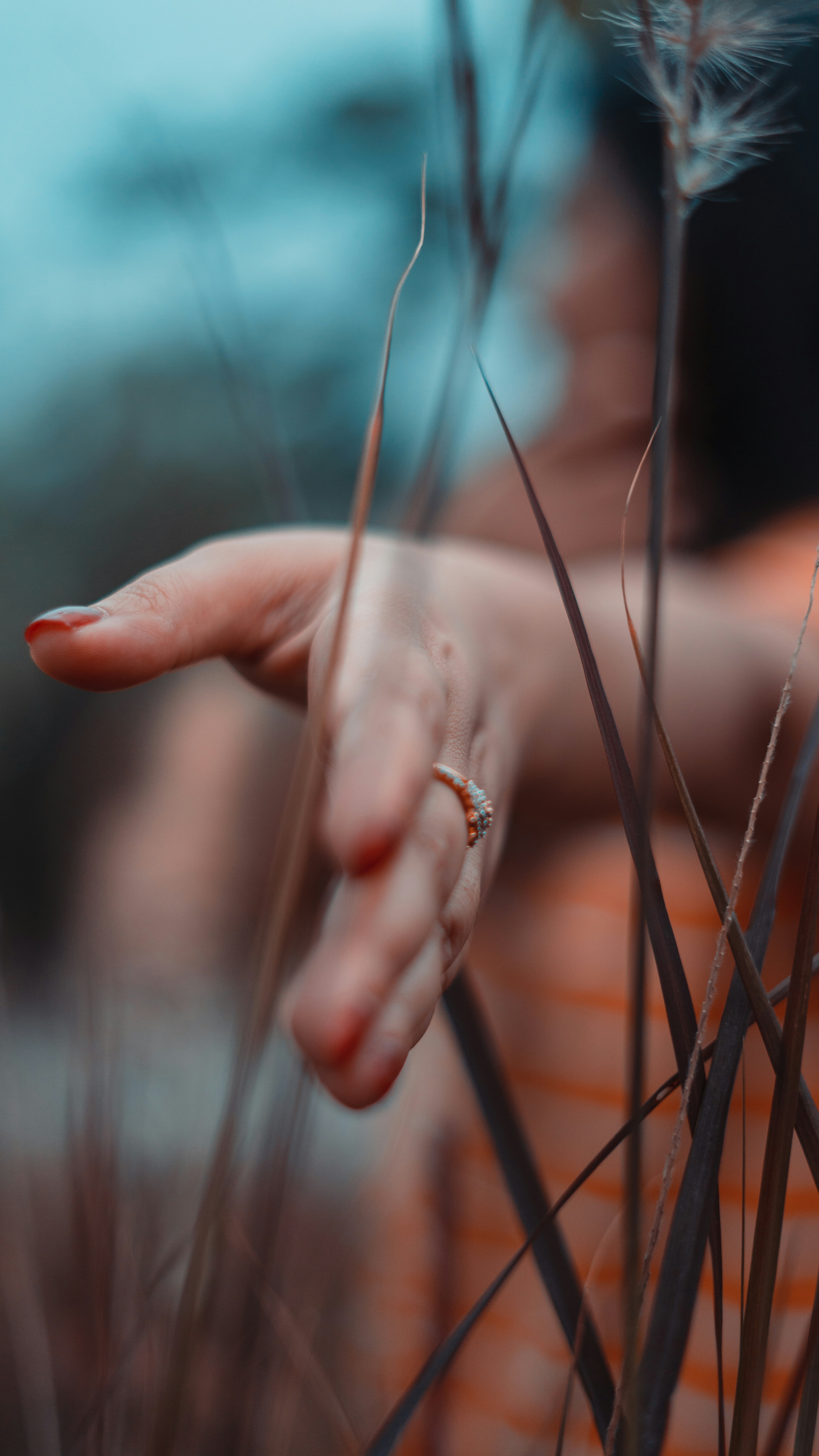 Photo by yashkiran12345678